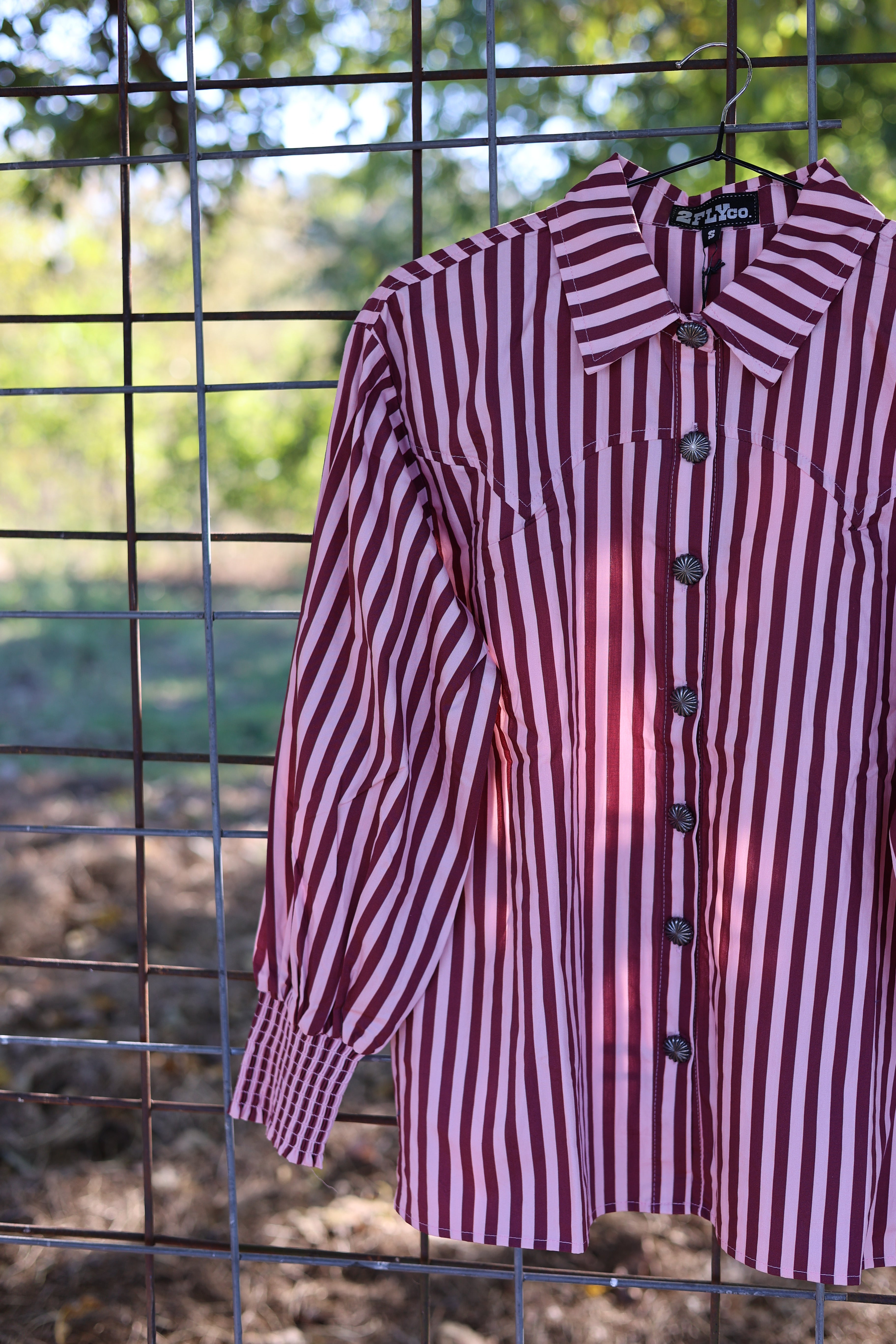 The Wilson Top